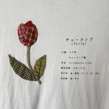 꽃 이야기 ONLY CHILD 튤립 자수 크롭 T셔츠