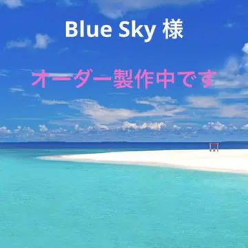 Blue Sky 님의 오더 제작 중입니다 비즈 자수 백참