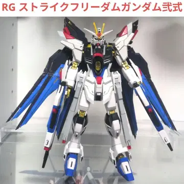 RG 1/144 스트라이크 프리덤 건담 이식