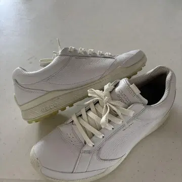 ecco 골프화 여성용 39