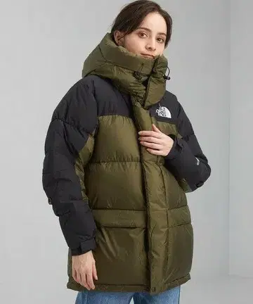 THE NORTH FACE HIM DOWN PARKA