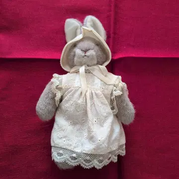 레이스가 달린 그레이 토끼 드레스