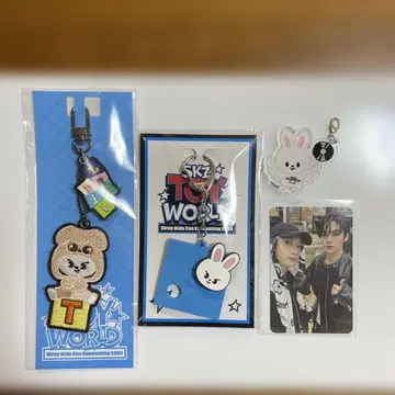 Stray Kids SKZ 리노 TOY WORLD 키링 세트