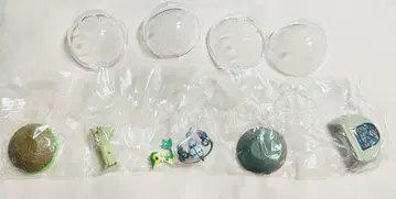 포켓몬스터 테라리움 컬렉션 12 쪼로롱 샹들라