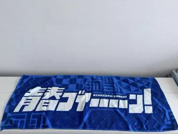 아타라시 학원 리더즈 청춘 비이이인! 청춘부 타월