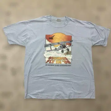 90s usa 프룻 오브 더 룸 티셔츠 비행기