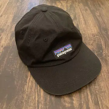 Patagonia 블랙 야구 모자