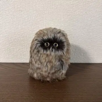 광선 co-sen 봉제 인형