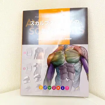 스컬프터를 위한 미술 해부학