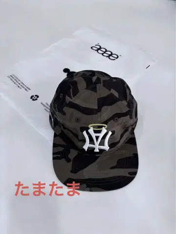 AEAE 자수 날개 문자 캐주얼 캡