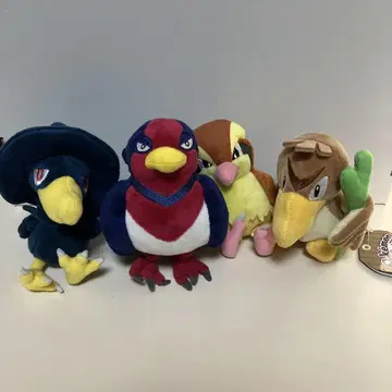 포켓몬 fit 묶음 구매