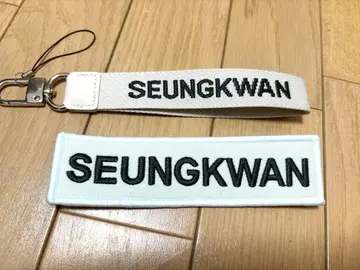 seventeen 승관 응원봉 스트랩 와펜