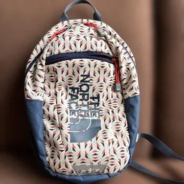 THE NORTH FACE 기하학 패턴 백팩