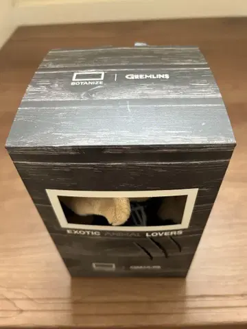 BOTANIZE x GREMLINS 보타나이즈 그렘린