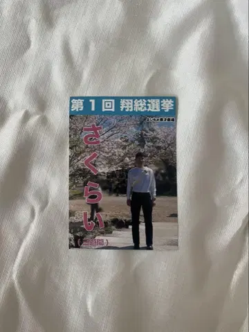 쇼 총선거 삼유간 사쿠라이