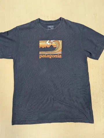 Patagonia 네이비 남성용 T셔츠