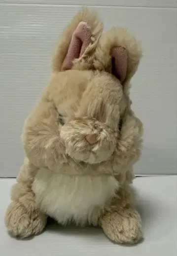 라피누 봉제 인형 S 네덜란드 드워프 BE 미사용품