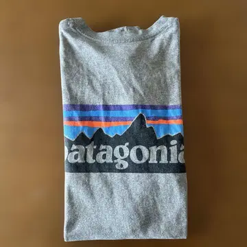 patagonia 그레이 T셔츠 M 사이즈