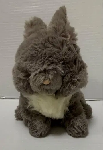 라피누 봉제 인형 S 네덜란드 드워프 DGY 미사용품