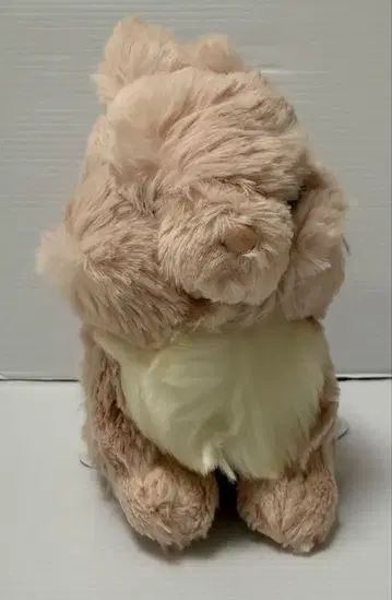 라피누 봉제 인형 S 네덜란드 드워프 PK 미사용품