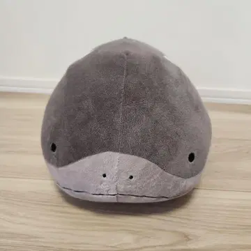 포켓몬 도오 봉제 인형