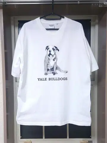 coen x YALE (예일) 별주 프린트T셔츠 Lsize 화이트