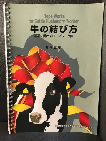 소 묶는 법 아오키 마리