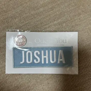 Ode to You JOSHUA 핀 배지