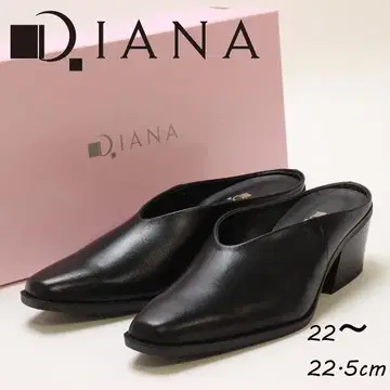 B7720 다이애나 롱노즈 스퀘어토 청키힐 신발 S