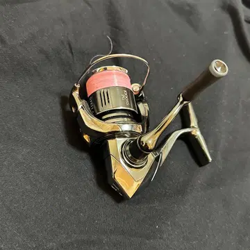 22 스텔라 1000 sspg