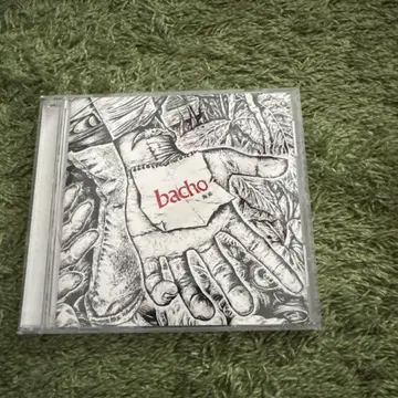 bacho CD 해저