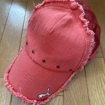 Y2K PUMA CAP