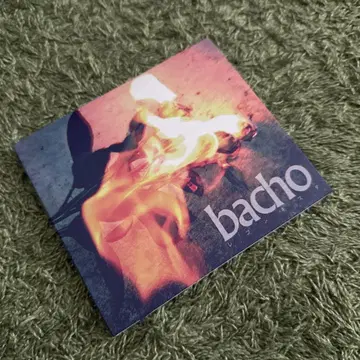 bacho 레콩키스타