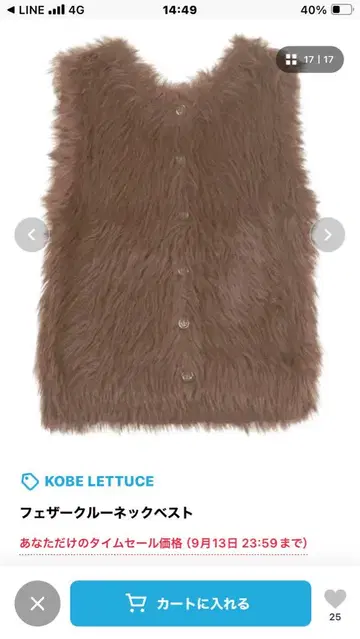 KOBE LETTUCE 페더룩 넥 베스트 M 사이즈