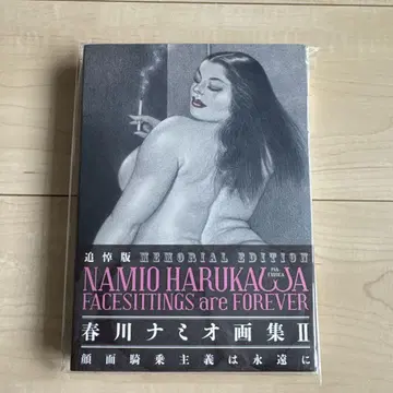 하루카와 나미오 화집 2
