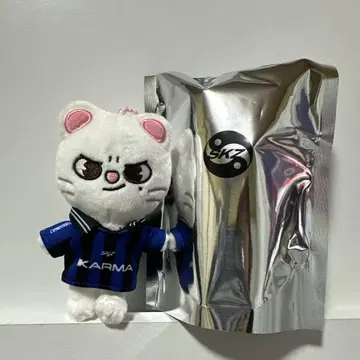 스키즈 SKZOO 지니레트 현진