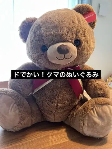 다이토 한정판 엄청 큰! 마이 큐트 베어 슈퍼 점보 봉제 인형