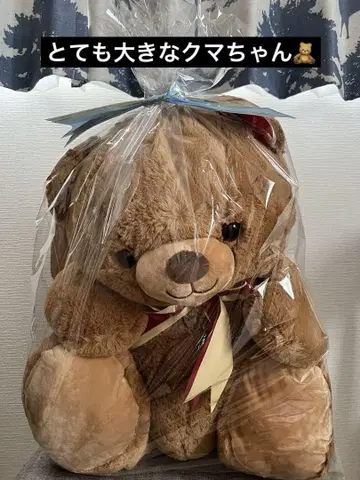 다이토 한정판 엄청 큰! 마이 큐트 베어 슈퍼 점보 봉제 인형