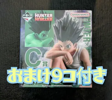 HUNTER x HUNTER C상 곤