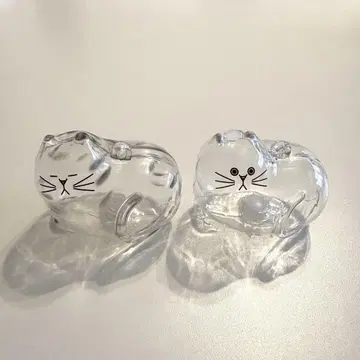 우리 집 털뭉치