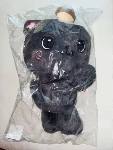 NCTWISH 캐릭터 백 RIKU 봉제 인형