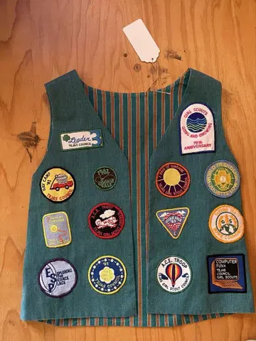 reversible vest