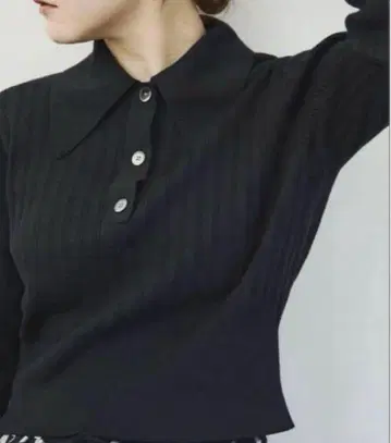 IENA 이에나 카라 부착 숏 니트 풀오버 폴로 니트