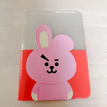 정국 cooky 여권 케이스 초기 레어