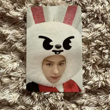 Stray Kids 스키즈 NOEASY 트레이딩 카드 리노