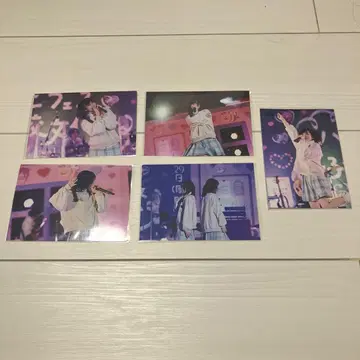 하코니와 릴리 브로마이드 사진 Kotoha 실사