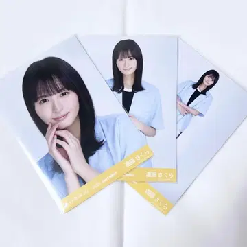 엔도 사쿠라 썸머 자켓 컴프