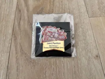 이이다 그룹 핀 배지 오사카 부립 대학