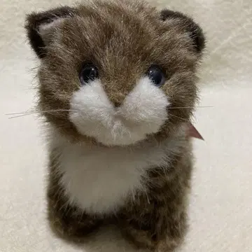 N.D.I On Tha grass 고양이 봉제 인형