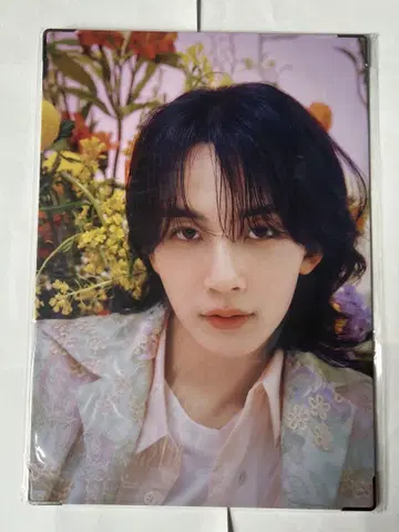 SEVENTEEN ALWAYS YOURS 프리미엄 사진 정한